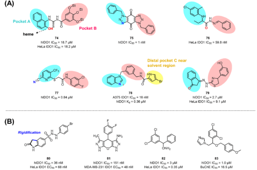 IDO1 inhibitors